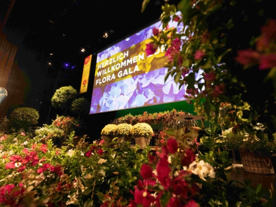 FLORA GALA 2019